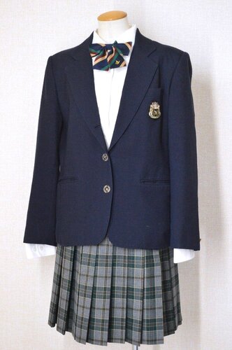  ���_�ސ쌧 ���l�n�p�����w�Z �u���U�[�~�� ���{�� Paris��T6065