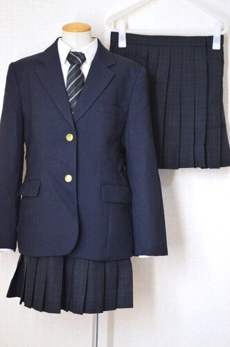  ���_�ސ쌧�� �`�k�����w�Z �u���U�[�~�ĕ� �l�N�^�C��T6069