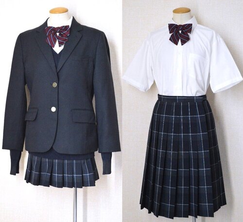  ���_�ސ쌧 ���s���ˉz���w�Z �u���U�[�~�ĕ� ���{����T6070