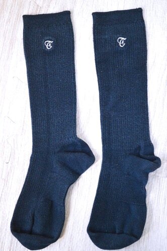  �������s �听�����w�Z ���n�C�\�b�N�X��T6087