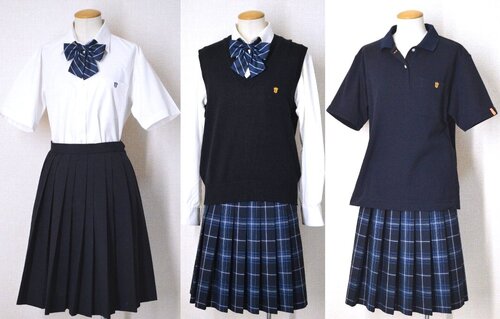  ���_�ސ쌧 �@����w��񍂓��w�Z �Ē��ԕ���T6056