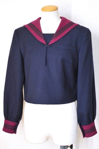  ���_�ސ쌧 ���l�����w�����w�Z�E�����w�Z �ԋ� �Z�[���[�~���ざT6079