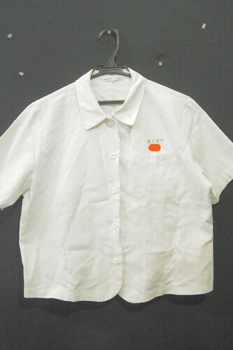  7327k ���傫���T�C�Y�� �{�茧 �{��s�� ����{���w �ĕ� ���� �w��u���E�X �T�C�Y3L �n�g���� ���q����