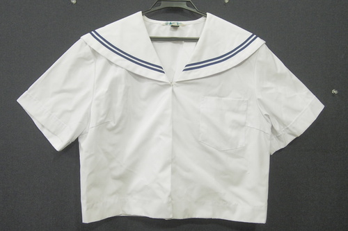  7338k ������T�C�Y�� �a�̎R�� �a�̎R�s�� �팩���w �ĕ� ���� �w��Z�[���[�� �T�C�Y170AB ���q����