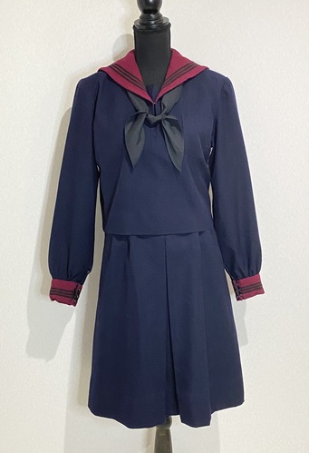  �_�ސ쌧  ���l�����w�����w�Z�E�����w�Z  �~�Z�[���[���Z�b�g