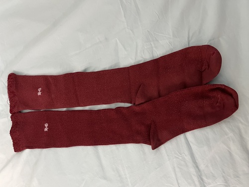 �����s ���o�����w�Z(���ݖڍ����{��w�����w�Z)  �w��\�b�N�X�@�C���@��