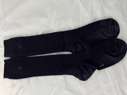 �_�ސ쌧 ���l�n�p�����w�Z�@���q�w��\�b�N�X�@�C���@��