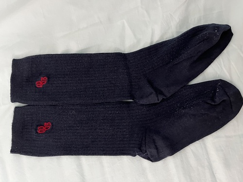 �_�ސ쌧 �吼�w�������w�Z�@���q�w��\�b�N�X�@�C���@��