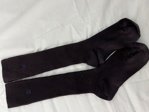 �����s �i���������w�Z�@���q�w��\�b�N�X�@�C���@��