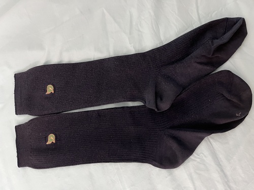 �����s �哌������w��ꍂ���w�Z�@���q�w��\�b�N�X�@�C���@��