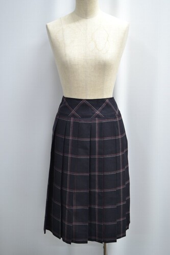  �Z��ʌ��� �߃������������w�Z �ăX�J�[�g ����6228