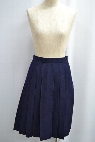  �Z���� W81 ��ʌ��� ���썂���w�Z ���v���[�c �~�X�J�[�g ����6229