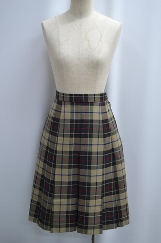  �Z��ʌ��� ���썂���w�Z �~�X�J�[�g ������ ����6231