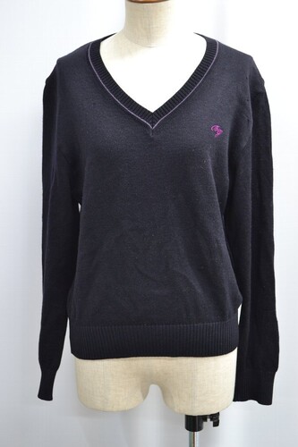  �Z�����s ���؏��q���w �����w�Z �Z�[�^�[ ����6237