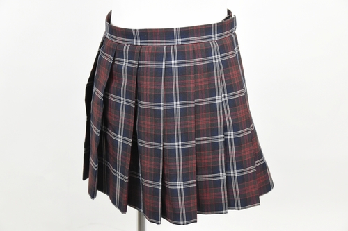 �_�ސ쌧 �����鋽���Z �y���s���� �ĕ��X�J�[�g�z/3815SE