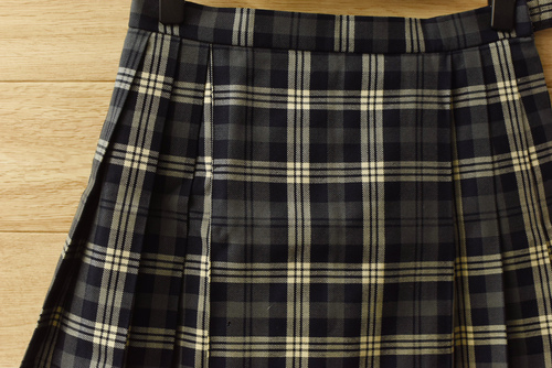  c�����q�w������ �l�C�`�F�b�N�� �~�E���~�j�X�J�[�g�����E���E�O���[ �s��