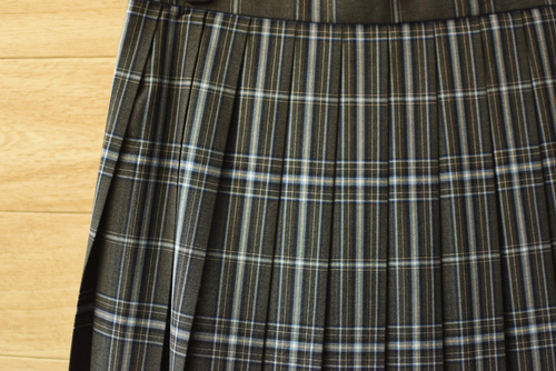  c�����i �傫��W69L54�������s ���{���؊w�����؏��q�����w�Z �l�C�`�F�b�N�� �ăX�J�[�g���O���[�E�Ȃ�