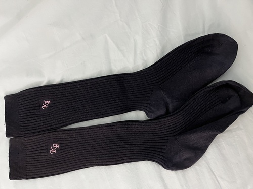 �����s �������q��񒆊w�Z�@�w��\�b�N�X�@�C���@��