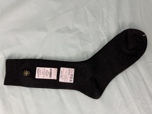 �_�ސ쌧 ���l�����w�Z�@���q�w��\�b�N�X�@�C���@���@�V�i