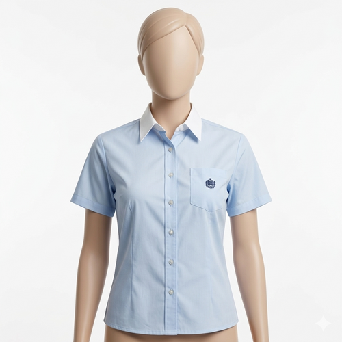 �����s �]�ː쏗�q�����w�Z�@�����u���E�X�@�u�₩�Ȑ��F�ɔ���