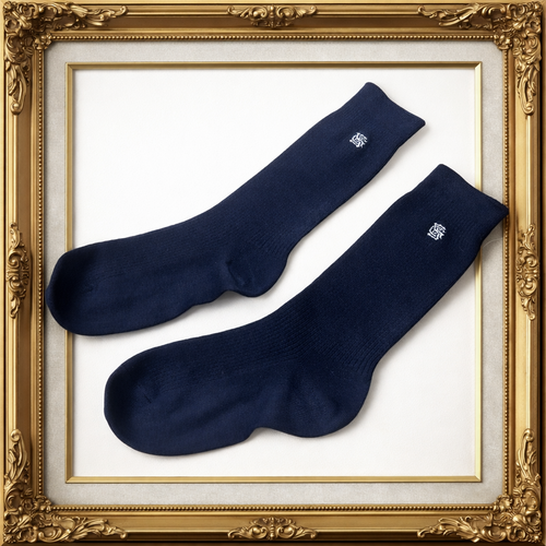 �����s �]�ː쏗�q�����w�Z�@�~�h����\�b�N�X