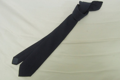  7382k �_�ސ쌧 ���� ���򏗊w�@���Z �y���q�Z�z ���� �l�N�^�C ���q����