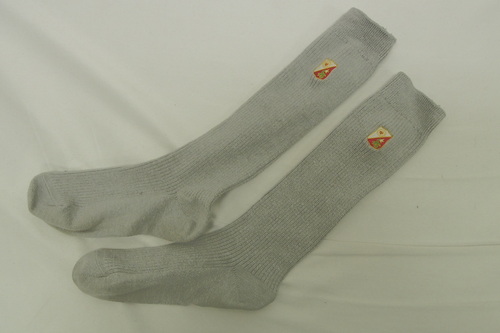  7383k �_�ސ쌧 ���� ���򏗊w�@���Z �y���q�Z�z �w�� �X�N�[���\�b�N�X ���q����