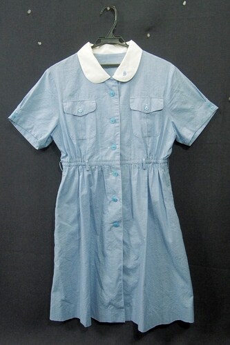  7389k �_�ސ쌧 ���� ���򏗊w�@���Z �y���q�Z�z �������� ���ĕ� �����s�[�X �T�C�YBM ���q����