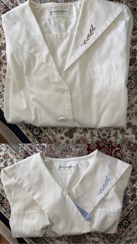 ���m�� ���� �����w���������w�Z ���q �Z�[���[�u���E�X �w�N�F��  �ē~�@���Ɛ����g�p�i