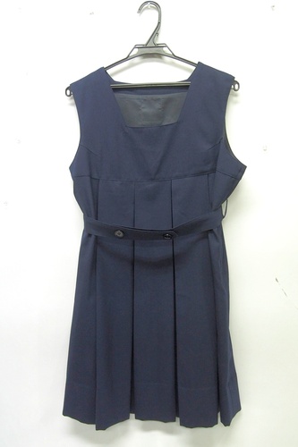  7392k �_�ސ쌧 ���� ���򏗊w�@���Z �y���q�Z�z �~�� �W�����p�[�X�J�[�g �T�C�Y160B69 ���q����