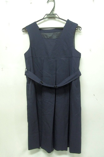  7393k �_�ސ쌧 ���� ���򏗊w�@���Z �y���q�Z�z �~�� �W�����p�[�X�J�[�g �T�C�Y160A69 ���q����