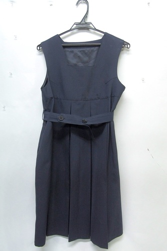  7394k �_�ސ쌧 ���� ���򏗊w�@���Z �y���q�Z�z �~�� �W�����p�[�X�J�[�g �T�C�Y170A69 ���q����