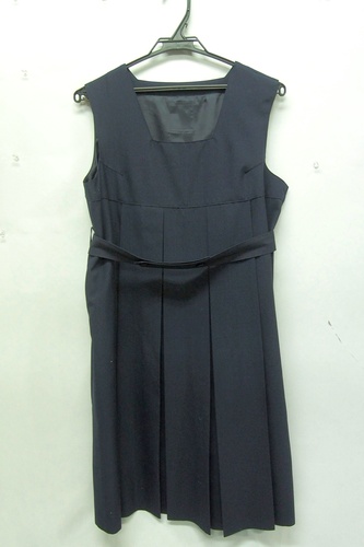  7395k �_�ސ쌧 ���� ���򏗊w�@���Z �y���q�Z�z �ĕ� �W�����p�[�X�J�[�g �T�C�Y160B69 ���q����