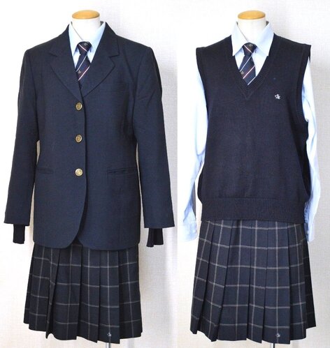  ����t���� ���R�썂���w�Z �u���U�[�~�ĕ� �l�N�^�C��T6091