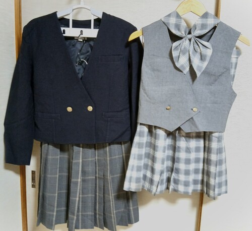  �s�s���t�O���[�`�F�b�N �������� �݂Ȃ��u���U�[���� �~�� �ĕ� ���{��