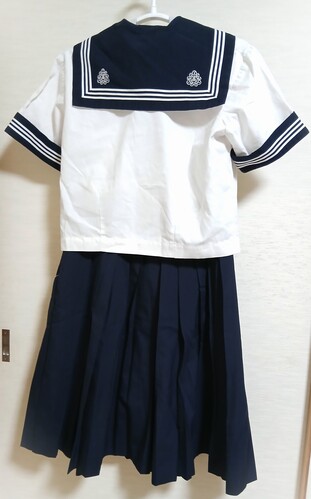  ���傫�� ��ʌ��� ���R���q�����w�Z �Z�[���[�� �ĕ�(����)