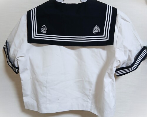  �傫�� ��ʌ��� ���R���q�����w�Z �Z�[���[�ĕ����(����)