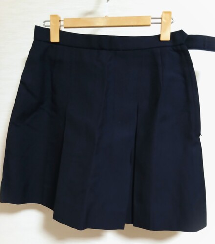  �傫�� w73 ��ʌ��� ��z���q�����w�Z �~�X�J�[�g