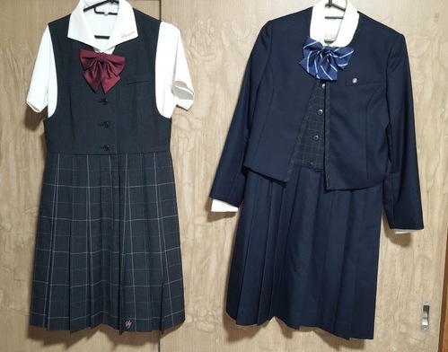 ���ꌧ ���ꌧ�@�����@���ꏗ�q�����w�Z�@�~���ĕ��Z�b�g�@�T�C�YL �������߁@���i