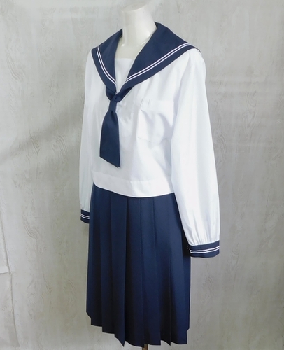  ���F�{�� �F�{�s���o���쒆�w �a�����Đ�����