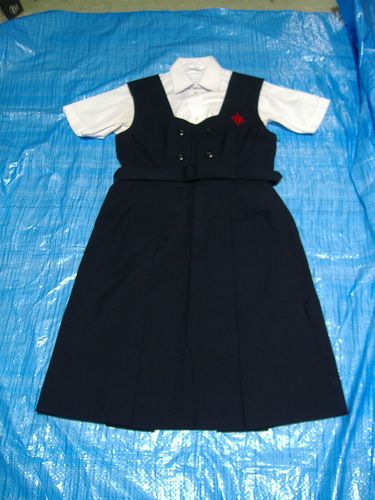  ���Ɍ��@�[�����w�@�����w�Z�@�ăW�����p�[�X�J�[�g����