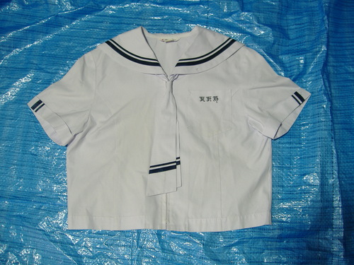  �s���Z�@�����Z�[���[����߁@���n�ɍ��̂Q�{���@���݂ɂ��Ԏh�J