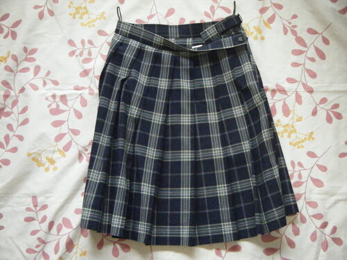  ��t���@���X�s�@��t�t�������w�Z�@�ăX�J�[�g�@1��