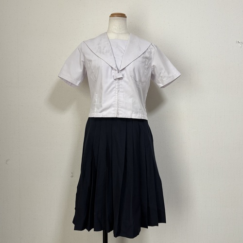 [�s��] �ySE1011�z�@���w�Z�@���Z�@�ăZ�[���[���X�J�[�g�Z�b�g�@W66��59�@