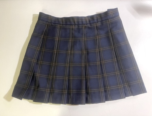 ���ꌧ ���ꏗ�q���Z���~�j�X�J�[�g��������