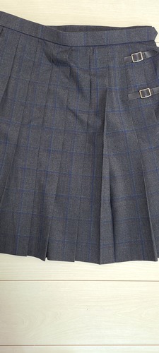 [�s��] �傫�ȃT�C�Y�O���[�n����x���g�t���`�F�b�N�X�J�[�g�I�I