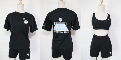 �_�ސ쌧 ���� ���Z�V���A���q���Z �o���[�{�[���� T�V���c �C���i�[�Z�b�g