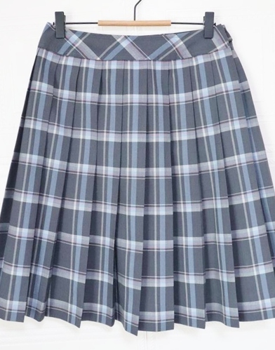 �Ȗ،� ���� ���w�@�Ȗ؍��Z ���q ���� �ĕ� �X�J�[�g �E�G�X�g72