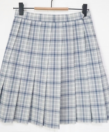 �����s ���� ���{��w��񍂍Z ���q ���� �ĕ� �`�F�b�N�X�J�[�g �E�G�X�g66