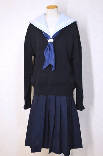  ����size EL W77 �_�ސ쌧 ���l���l���w�Z�E�����w�Z ���F�Z�[���[�ĕ� �Z�[�^�[��T6109